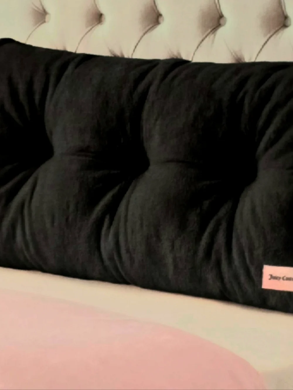 Juicy Couture plush juicy